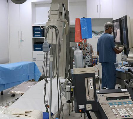 Transplantes de Medula Óssea Autólogo Transplantes de Medula Óssea Autólogo