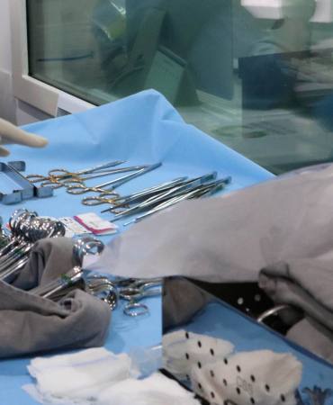 Procedimentos Hemodinâmica procedimentos minimamente invasivos Procedimentos Hemodinâmica procedimentos minimamente invasivos